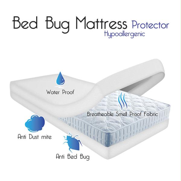 Bed Bug Dust Mite Cotton Mattress Protector- Twin