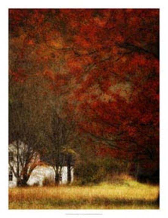 Owp55670z Beyond Octobers Maple Poster Print By Danny Head - 20 X 26