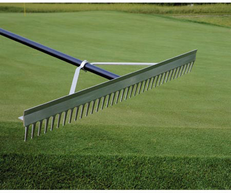 Chisel-Tooth Rake