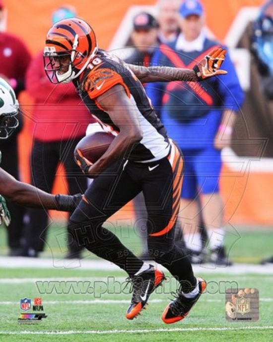 A.j. Green 2013 Action Sports Photo - 8 X 10