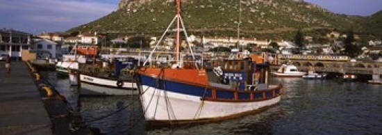 Fishing Boats Moored At A Harbor Kalk Bay Harbour Kalk Bay False Bay Cape Town Western Cape Province South Africa Poster Print By - 36 X 12