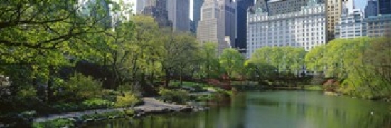 Ppi114048l Pond In A Park Central Park South Central Park Manhattan New York City New York State Usa Poster Print By - 36 X 12