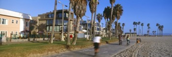 Ppi128074l People Riding Bicycles Near A Beach Venice Beach City Of Los Angeles California Usa Poster Print By - 36 X 12