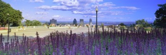 Blooming Flowers With City Skyline In The Background Kondiaronk Belvedere Mt Royal Montreal Quebec Canada 2010 Poster Print By - 36 X 12