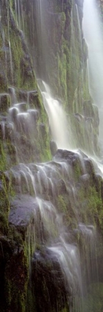 Waterfall In A Forest Proxy Falls Three Sisters Wilderness Area Willamette National Forest Lane County Oregon Usa Poster Print By - 12 X 36
