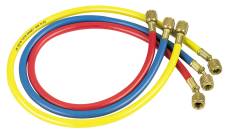 131197 Standard Yellow Hose 72 In.