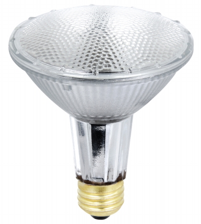 35par30/l/qfles 35 Watt Par30 Halogen Bulb