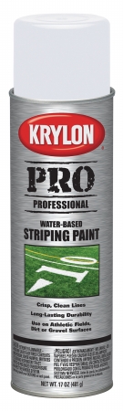 Division 5915 18 Oz White Striping Paint