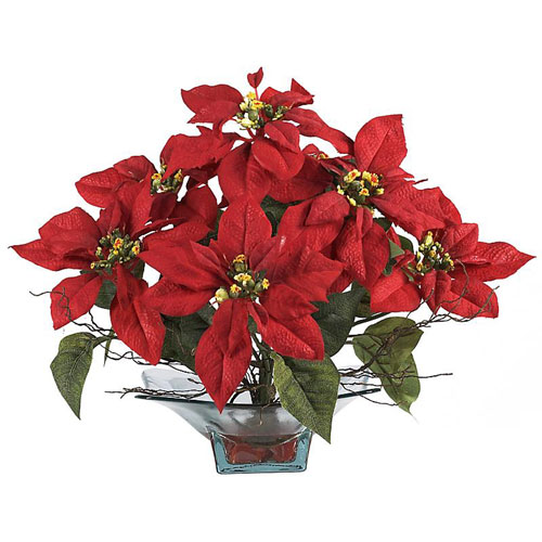 C. Alan 1501-RD Poinsettia with Square Glass Vase