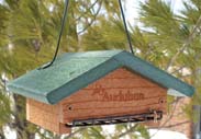 Woodlink Go Green Suet Bottom Feed Styl Green 3 Inch - NAGGSBF