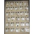 Bulk Savings 329636 Assorted F