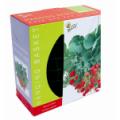 DD Discounts 359813 Strawberry Hanging Basket- Pack of 6
