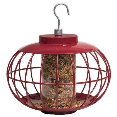 Gardman USA NT051The Nuttery Seed Feeder Classi