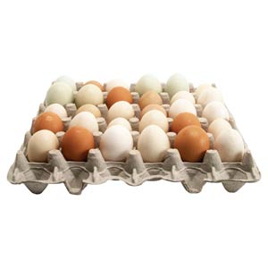 110221 Egg Cartons - 250 Count