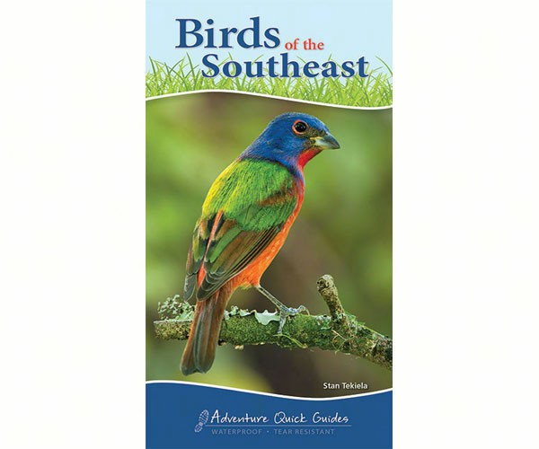 . Ap34080 Birds Of Southeast Quick Guide