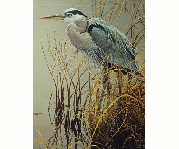 Om85029 Great Blue Heron 500 Piece Puzzle
