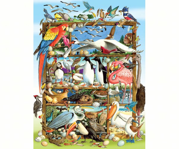 Om54639 Birds Of The World Family 300 Piece Puzzle