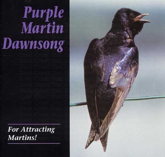 Pmcd Dawn Song Cd Purple Martin Attractors