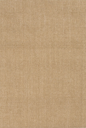 Rug119161 Naturals Solid Pattern Sisal Taupe/tan Area Rug ( 9x12 )
