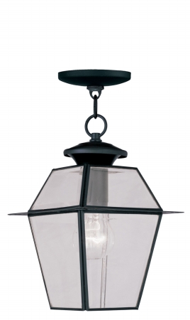 1 Light Hanging Lantern In Black