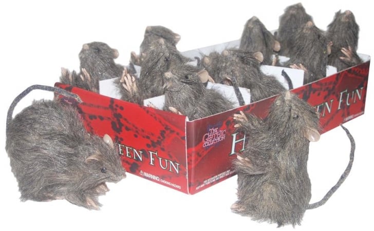 Ss06501 Rat Assortment