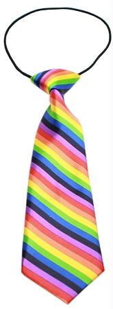 46-12 Big Dog Neck Tie Rainbow