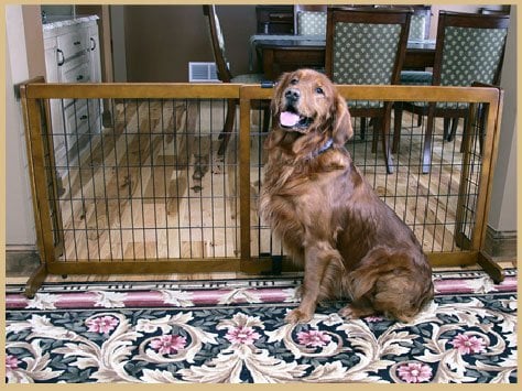 2870 Freestanding 28 In. Tall Extra Wide Pet Gate