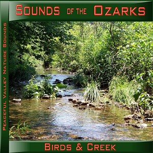 Pvp100 Sounds Of The Ozarks Birds & Creek Cd