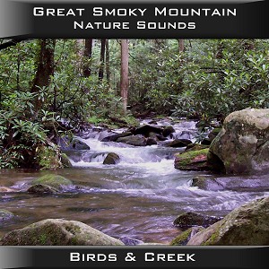 Pvp103 Great Smoky Mountain Birds & Creek Cd
