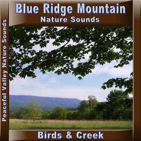 Pvp108 Blue Ridge Mountain Birds & Creek Cd