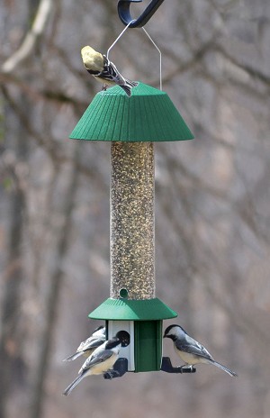 Se979 Squirrel Defeater Nyjer Feeder