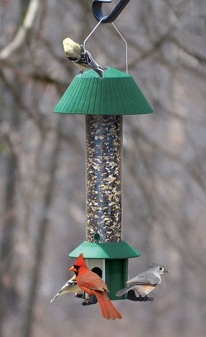 Se980 Squirrel Defeater Seed Feeder