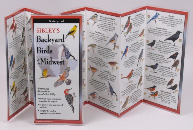 Steven M. Lewers & Associates Lewersbbw164 Sibley's Backyard Birds Of The Midwest