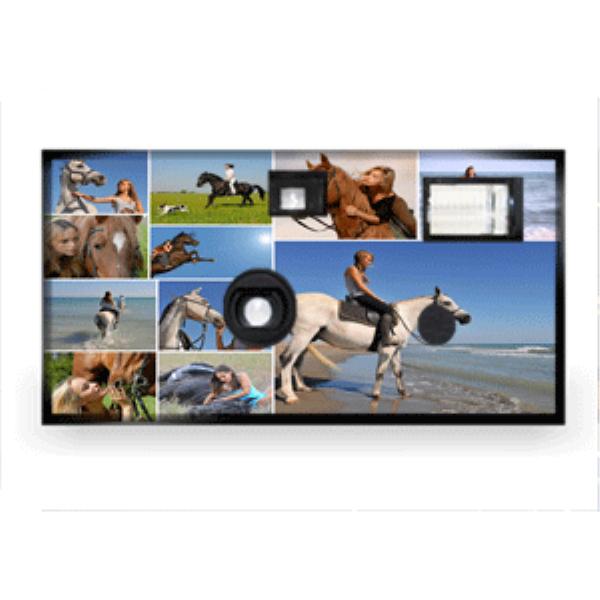 Sports Horse Riding Disposable Camera Case Of 10