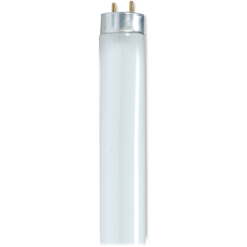 Satco 32-watt 48'' T8 Fluorescent Bulbs
