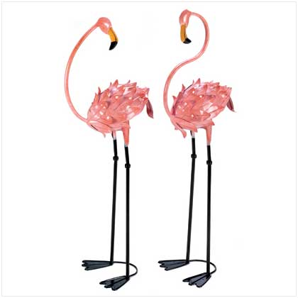 10013772 Flamboyant Flamingo Stakes