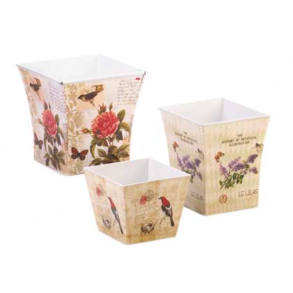 100 Butterfly Planter Trio