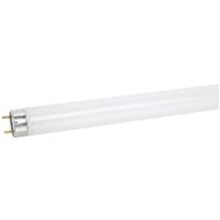 72450 Fluorescent Tube, 48 In. Pack Of 36