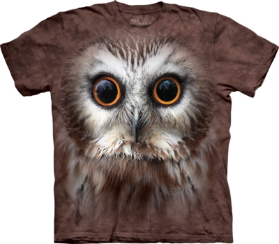 UPC 885361000346 product image for The Mountain 1036330 Saw Whet Owl T-Shirt - Small | upcitemdb.com