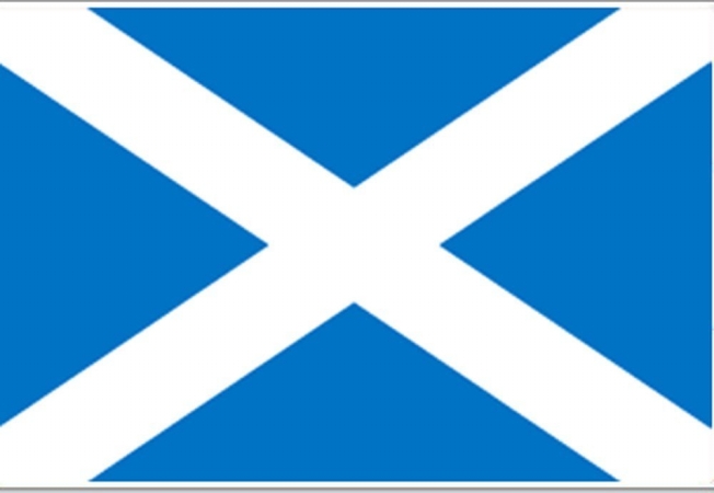 221108 3 X 5 Ft. Nylon - Glo St Andrews Cross Flag