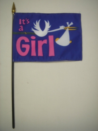 380030 Eb It S A Girl Mounted 4 x 6 in. 12 Pack