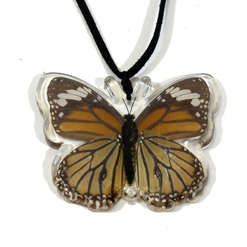 Company Btn110 Real Bug Common Tiger Butterfly Necklace