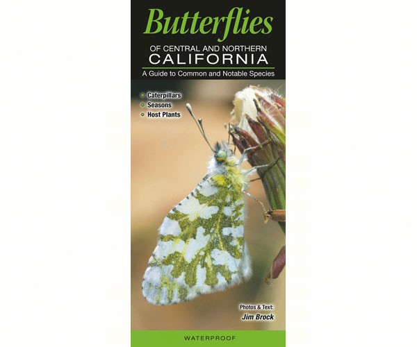 Qrp207 Butterflies Of Central & Northern California