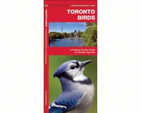 Wfp1583557891 Toronto Birds