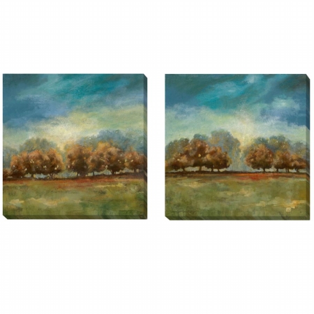 2020294g Clearing Sky Canvas Giclee Set - 20 In.