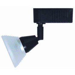 Jt-259-75e36-bw Track Head Combian Light 12v Ext36 In. - Black Wall