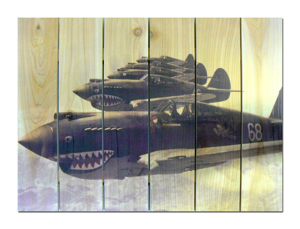 Hc2216 P40 Warhawks - 22 X 16 Inside & Outside Full Color Cedar Wall Art
