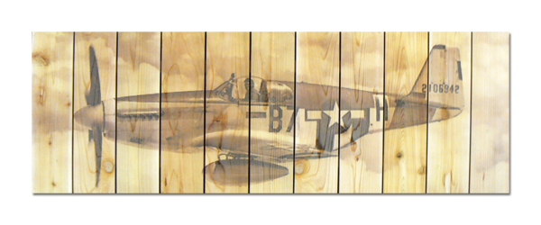 Pf3211 Past Flight - 32 X 11 Inside & Outside Full Color Cedar Wall Art