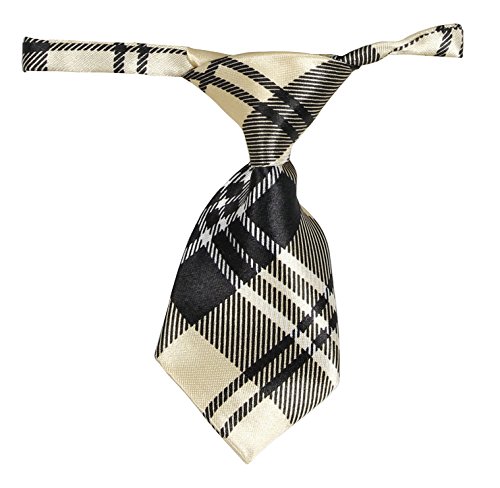 Fashionable And Trendy Dog Neck Tie - Black And Yellow