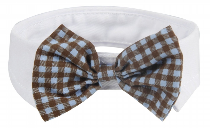 Fashionable And Trendy Dog Bowtie - Black And Yellow